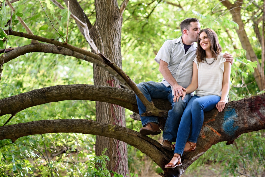 An engaged couple sit in a tree in Penn Treaty Park.